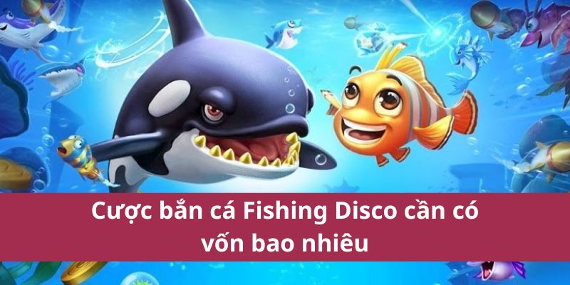 Cược săn hải sản Fishing Yilufa cần có vốn bao nhiêu 