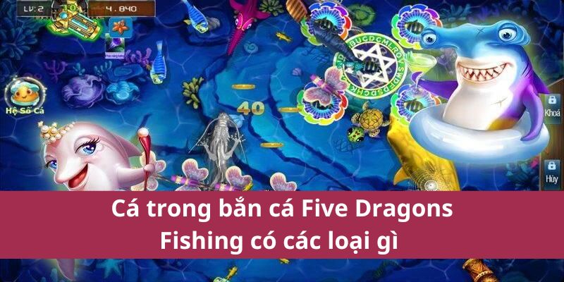 Cá trong bắn cá Five Dragons Fishing có các loại gì 