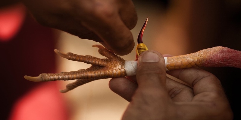 Những đặc điểm nổi bật mà người chơi cần nắm