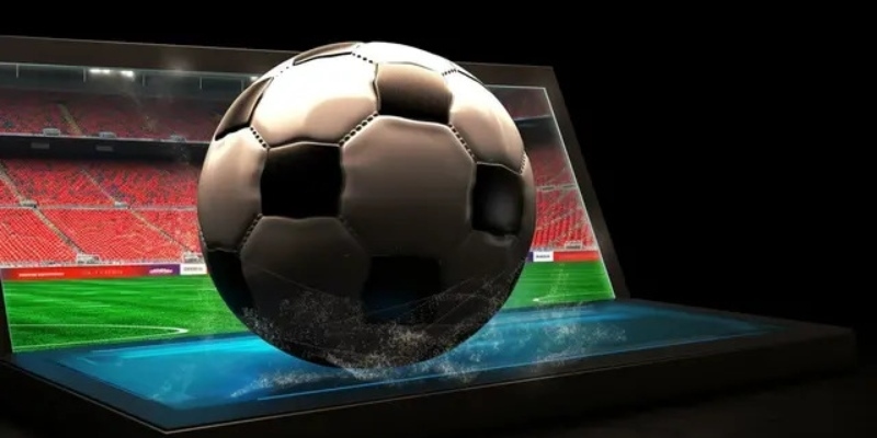 Những loại phổ biến newbie nên biết